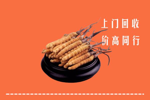 高价求购：来宾市回收散虫草