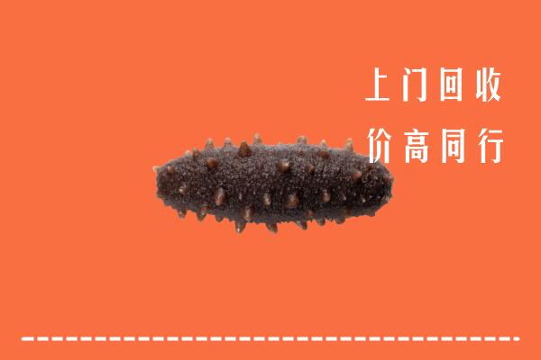 高价求购：来宾市回收海参