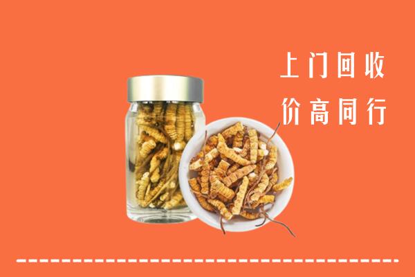来宾市回收冬虫夏草